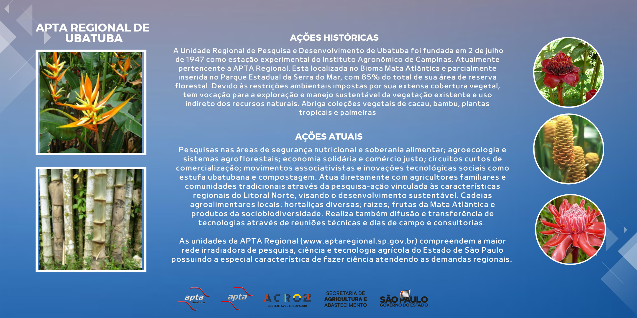 APTA REGIONAL DE UBATUBA